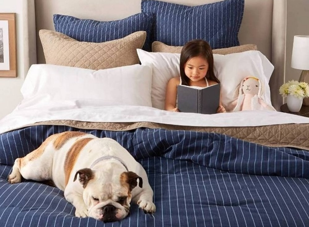 Best Sheets Materials for Dog Hair: Pet-Resistant Bedding Options