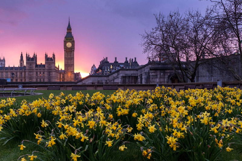 Luxury Silk Bedding and Accessories Brand Mayfairsilk Announces New Office in Mayfair