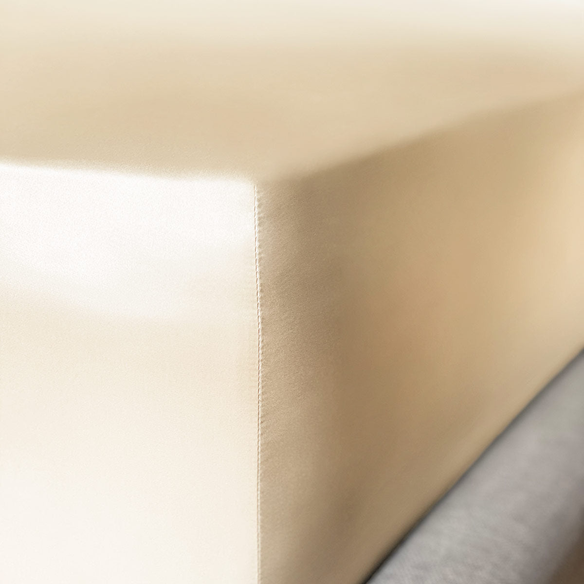 Champagne Pure Silk Fitted Sheet