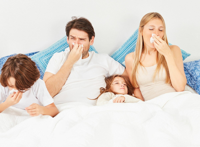 Best Sheets Material for Allergies: Hypoallergenic Bedding Options for Asthma, Skin Rashes & More