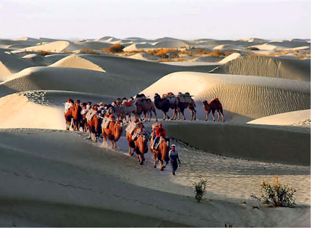 During Which Dynasty Was the Silk Road Established?