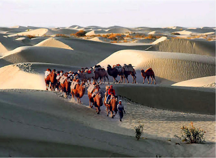 During Which Dynasty Was the Silk Road Established?