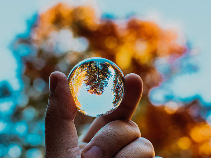 Silk that doesn't cost the Earth